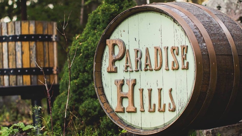 Live Music with Myke Ross at Paradise Hills Vineyard and Winery