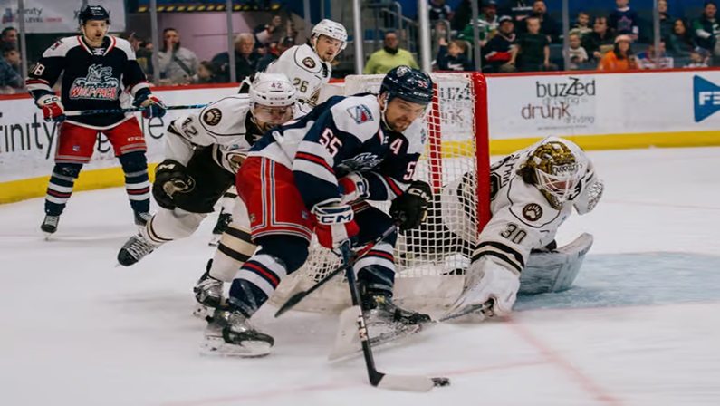 Hartford Wolf Pack vs Hershey Bears at XL Center