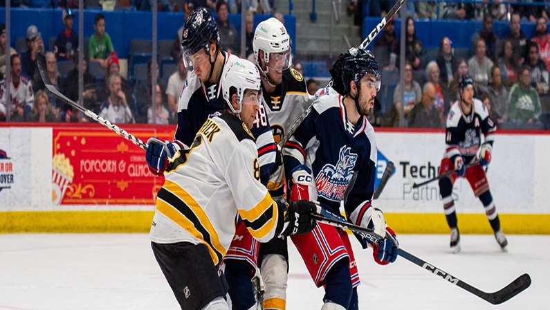 Hartford Wolf Pack vs Providence Bruins at XL Center