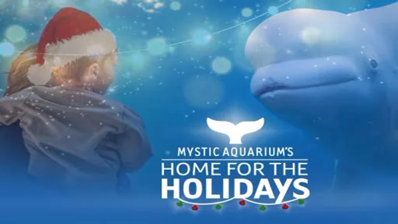 Home for the Holidays - Lights Extravaganza at Mystic Aquarium