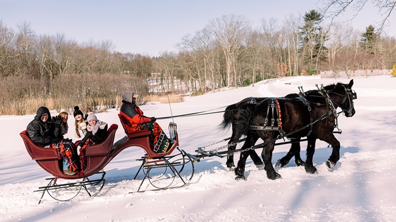 sleigh rides wood acres farm