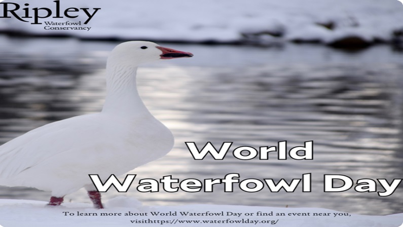 2025 Celebrate World Waterfowl Day at Ripley Waterfowl Conservancy