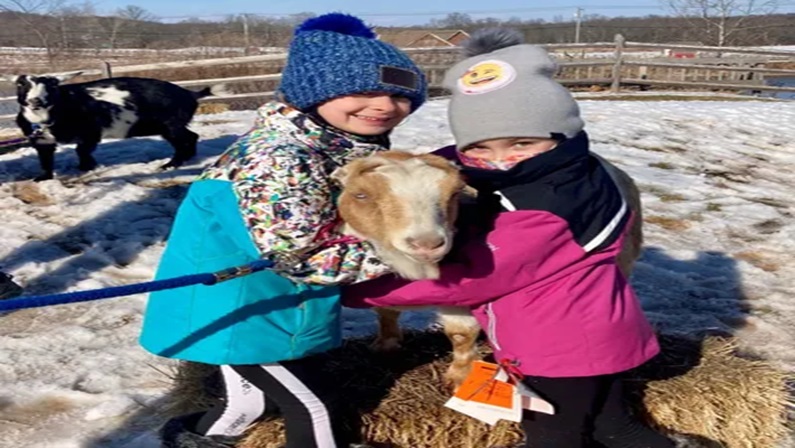 Goat Strolls with Bradley Mountain Farm at Lyman Orchards