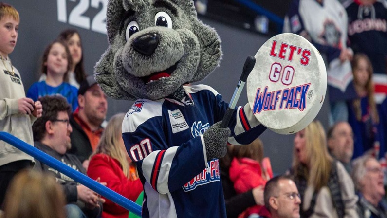 Hartford Wolf Pack vs Milwaukee Admirals at the XL Center