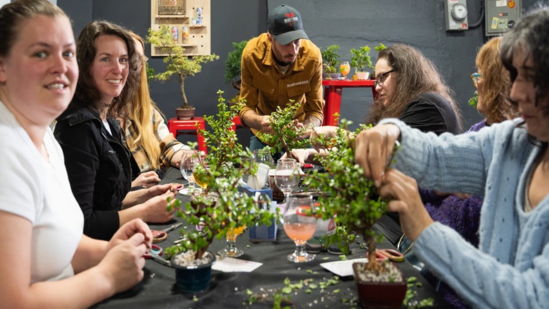 Bonsai Beginner Workshop at Nod Hill Brewery