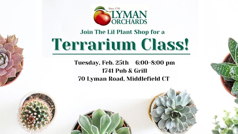 Terrarium Class at 1741 Pub & Grill