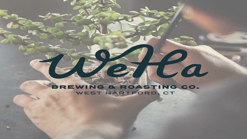 Bonsai Beginner Workshop at WeHa Brewing & Roasting Co.