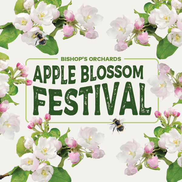bishops orchards apple blossom festival