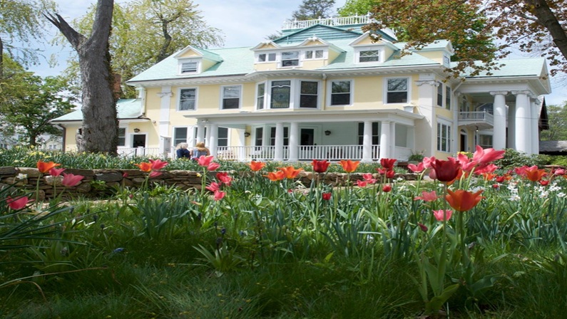 Colorblends House & Spring Garden in Bridgeport