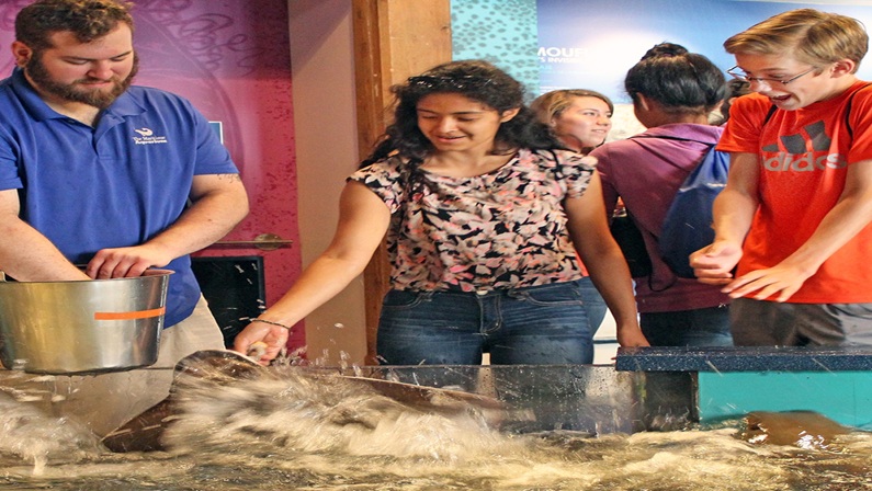 Feeding Time! at The Maritime Aquarium