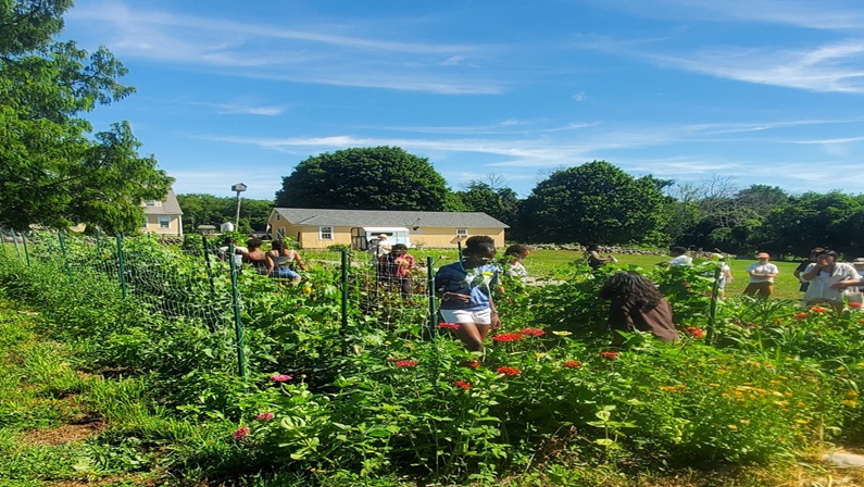Growing Through the Seasons: Gardening Workshops at Yellow Farmhouse Education Center