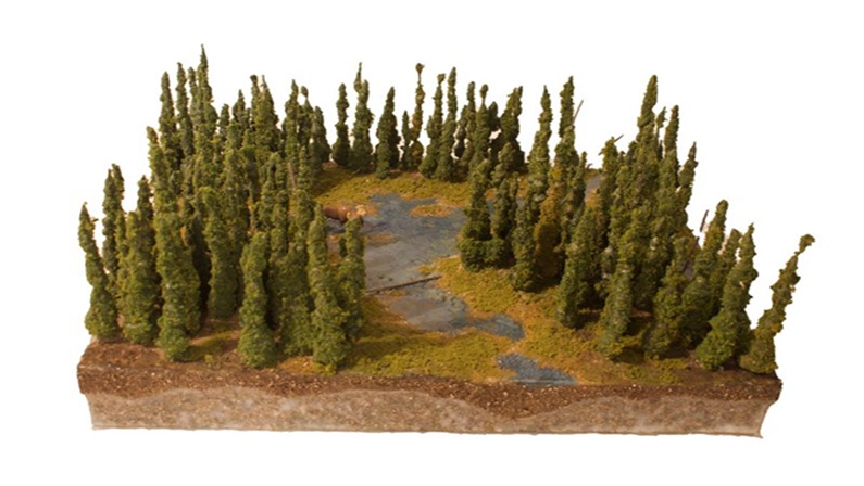 On Thin Ice: Alaska’s Warming Wilderness at the Bruce Museum