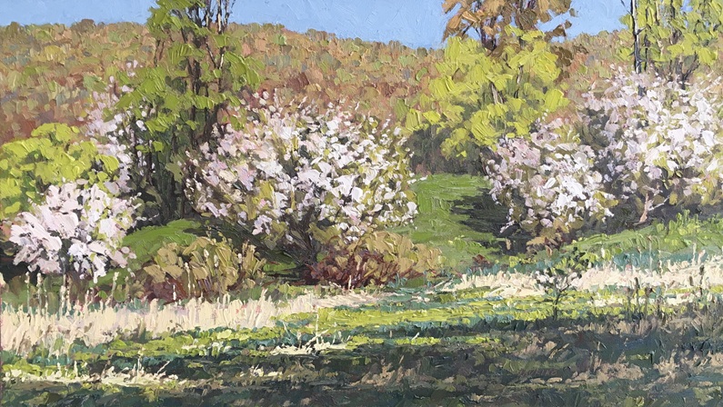 Sea & Sky Soiree at Lyme Art Association