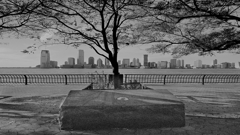 Their Kindred Earth: Photographs by William Earle Williams at Florence Griswold Museum