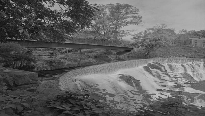 Gallery Tour: Their Kindred Earth: Photographs by William Earle Williams at Florence Griswold Museum