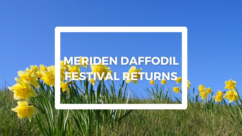 meriden daffodil festival