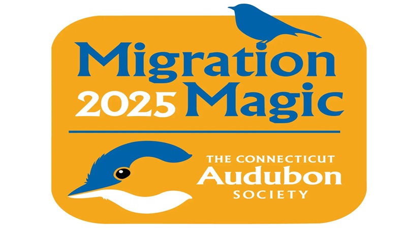 Migration Magic at Roger Tory Peterson Estuary Center