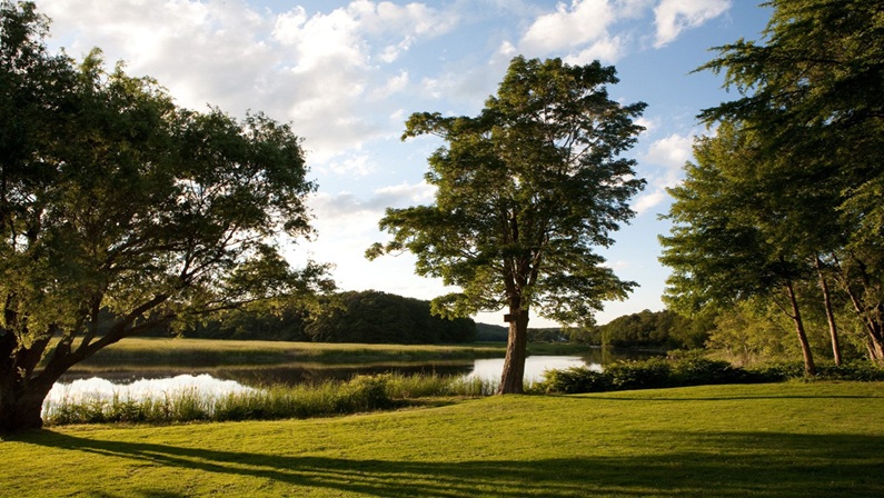 Tree I.D. Along the Artists’ Trail at Florence Griswold Museum