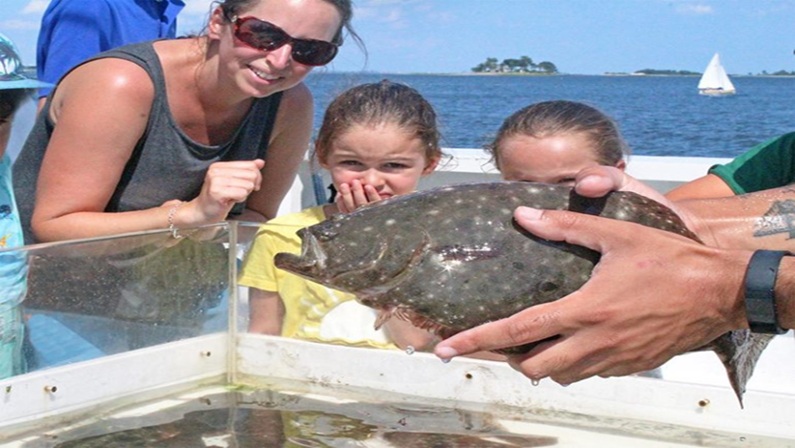 Marine Life Encounter Cruise at The Maritime Aquarium