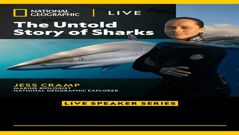 National Geographic Live: The Untold Story of Sharks at Ridgefield Playhouse