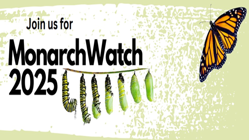 MonarchWatch Training at Bridgeport Zoo