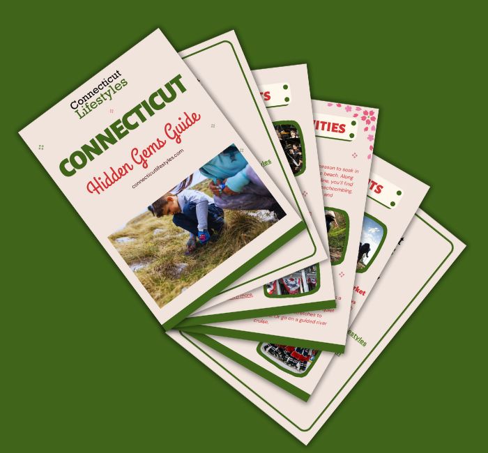 CL Lead Magnet Icon (1)