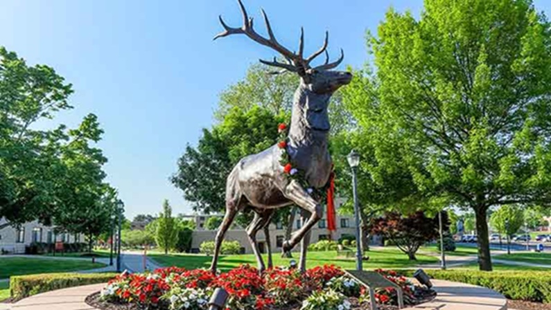 Family Day: Make a Monument! at Fairfield University Art Museum