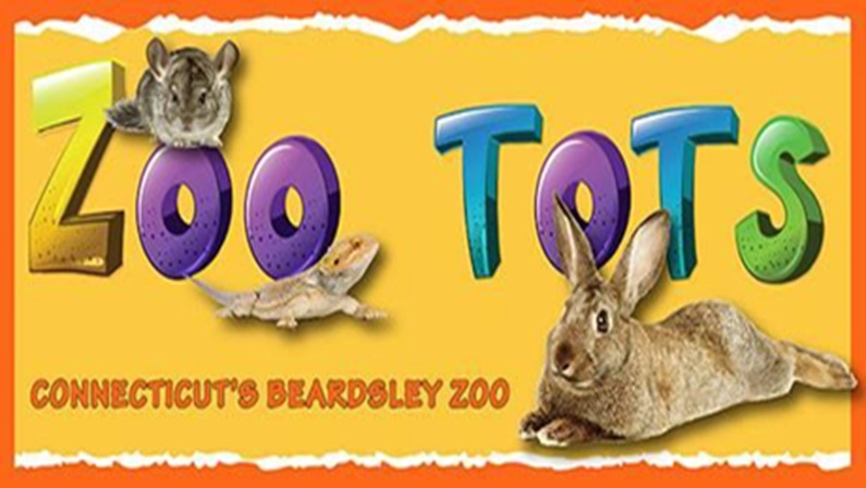 Zoo Tots – Animal Tracks and Trails at Bridgeport Zoo