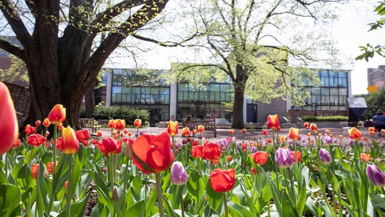 Arts in Mind at Yale University Art Gallery