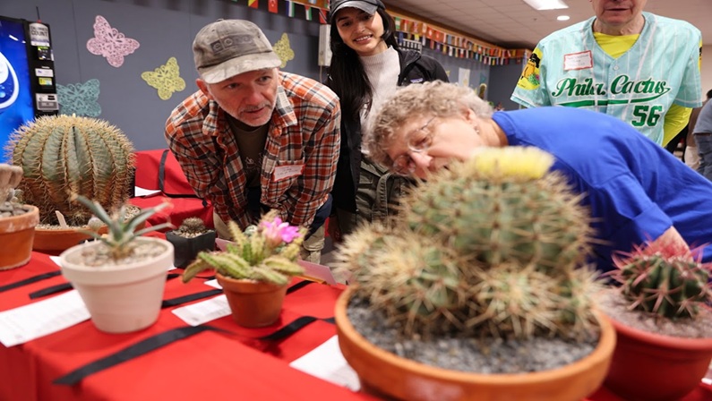 Cactus & Succulent Society Annual Show and Sale at Bristol Senior Community Center
