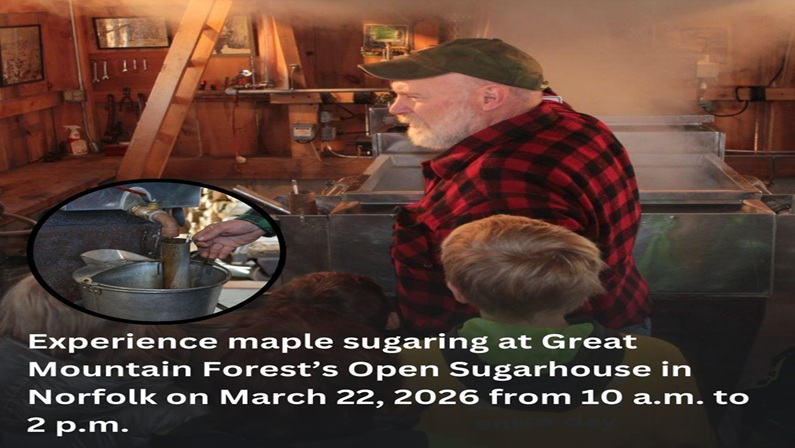 Great Mountain Forest Maple Sugaring Day at Great Mountain Forest Sugarhouse