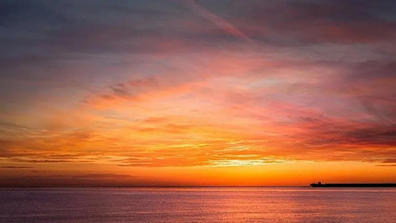 Virtual Meditation and Mindfulness with Fairfield University Art Museum