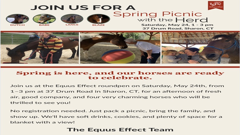 Spring Picnic with The Equus Effect in Sharon