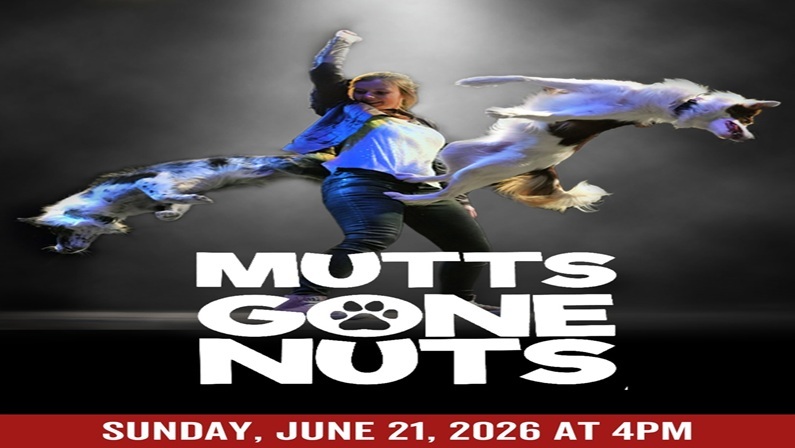 Mutts Gone Nuts at Westport Country Playhouse