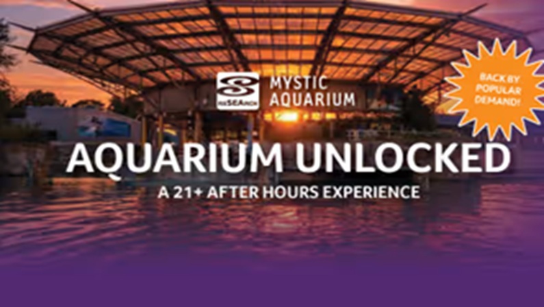 Aquarium Unlocked: A 21+ After Hours Experience at Mystic Aquarium