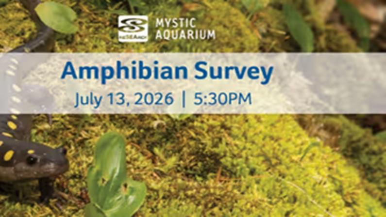July Amphibian Survey at Mystic Aquarium