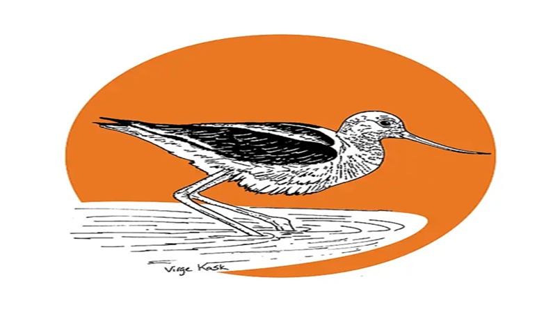 Scientific Illustration of Birds with Virge Kask at the Benton Museum of Art