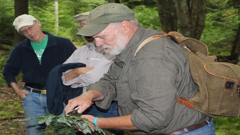 Woodland Academy: Using Hand Tools to Manage Your Woods at Great Mountain Forest