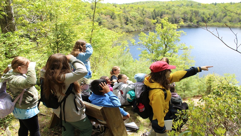 Great Mountain Forest Participates in Northwest Corner Gives
