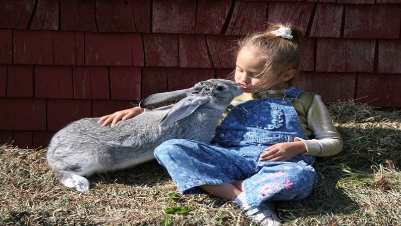 Xen’s Critters Petting Farm at the Mashantucket Pequot Museum & Research Center