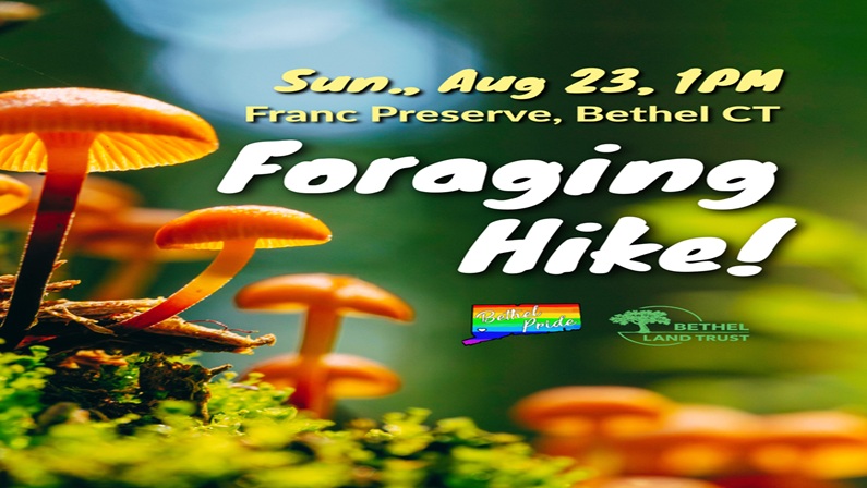 Foraging Hike at Franc Preserve
