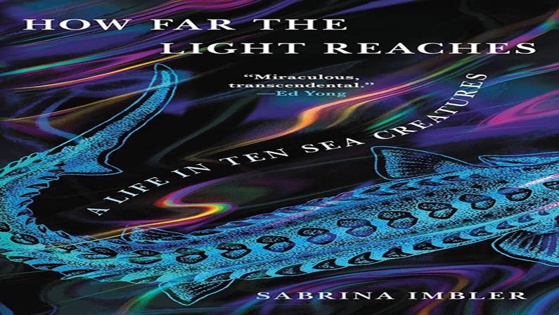 LGBTQ+ Book Club: How Far the Light Reaches at Rainy Day Paperback Exchange