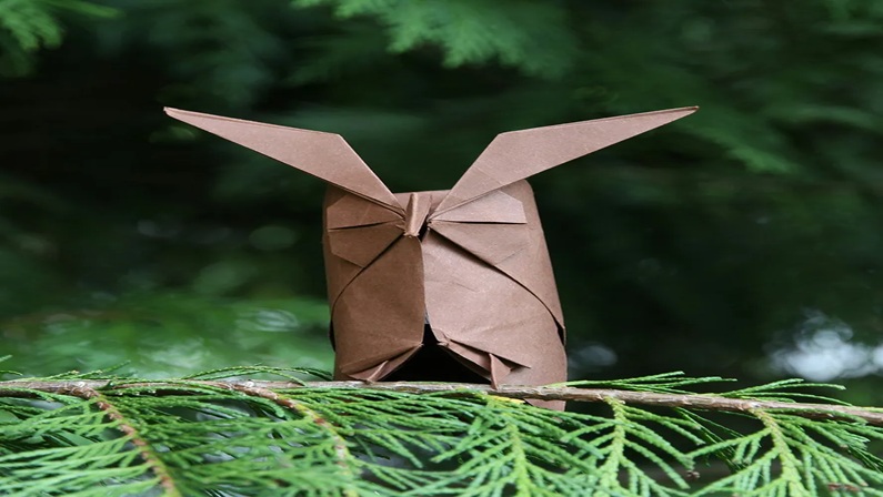 Art Adventures: Cardboard Creatures at Bruce Museum