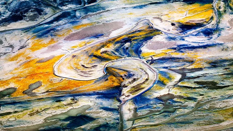 Experiences at the Bruce: Art Explains Science with J Henry Fair at Bruce Museum