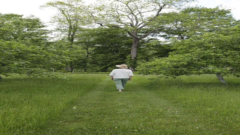 Forest Bathing Along the Artists’ Trail at Florence Griswold Museum