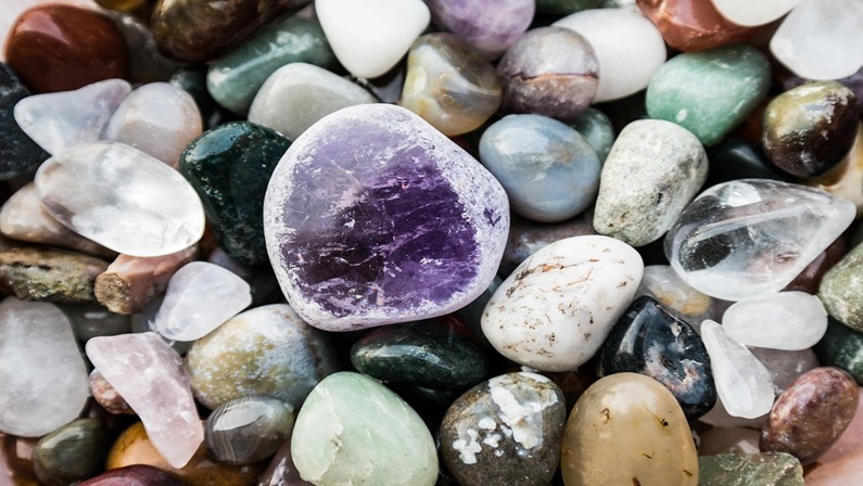 Gem Collection Study Day at Florence Griswold Museum
