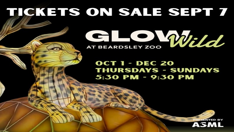 Glow Wild at Connecticut’s Beardsley Zoo