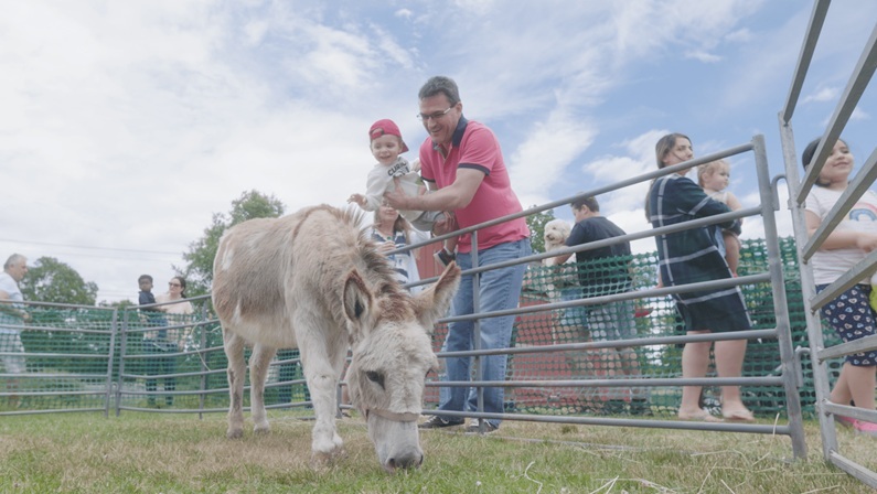 Activities: Petting Farm, Horse-Drawn Wagon Rides & Trackless Train at Lyman Orchards