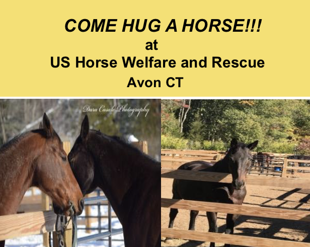 Hug a Horse at American Legion Post 12 Norwalk